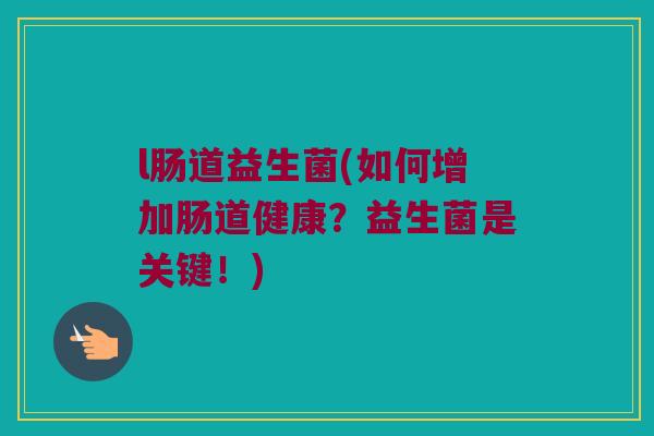 l肠道益生菌(如何增加肠道健康？益生菌是关键！)