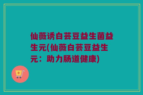 仙薇诱白芸豆益生菌益生元(仙薇白芸豆益生元：助力肠道健康)