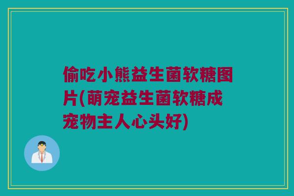 偷吃小熊益生菌软糖图片(萌宠益生菌软糖成宠物主人心头好)