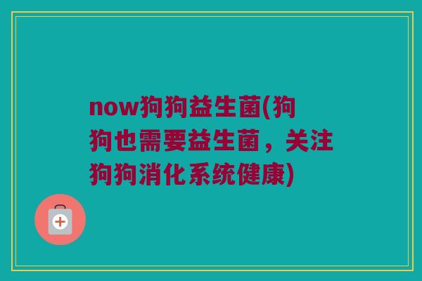now狗狗益生菌(狗狗也需要益生菌，关注狗狗消化系统健康)