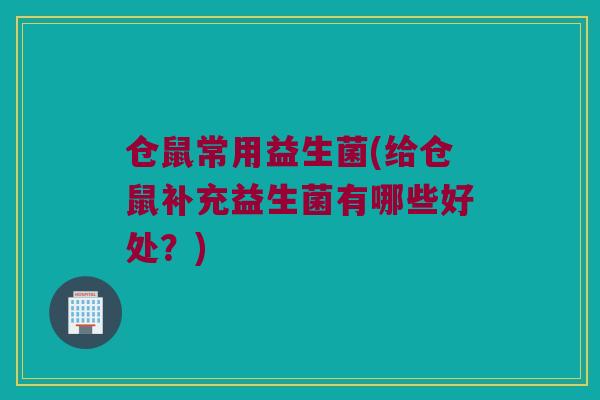仓鼠常用益生菌(给仓鼠补充益生菌有哪些好处？)