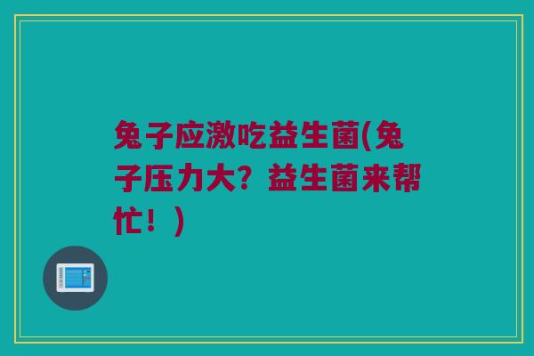 兔子应激吃益生菌(兔子压力大?益生菌来帮忙!) 兔子应激吃益生菌(兔子压力大?益生菌来帮忙!)