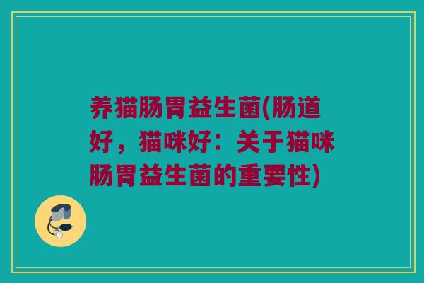 养猫肠胃益生菌(肠道好，猫咪好：关于猫咪肠胃益生菌的重要性)