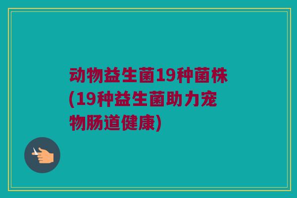 动物益生菌19种菌株(19种益生菌助力宠物肠道健康)