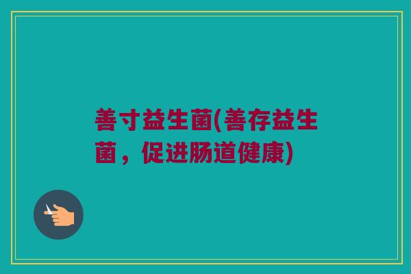 善寸益生菌(善存益生菌，促进肠道健康)