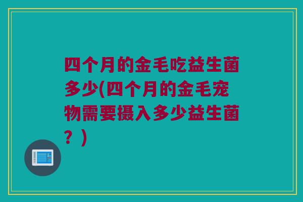 四个月的金毛吃益生菌多少(四个月的金毛宠物需要摄入多少益生菌？)