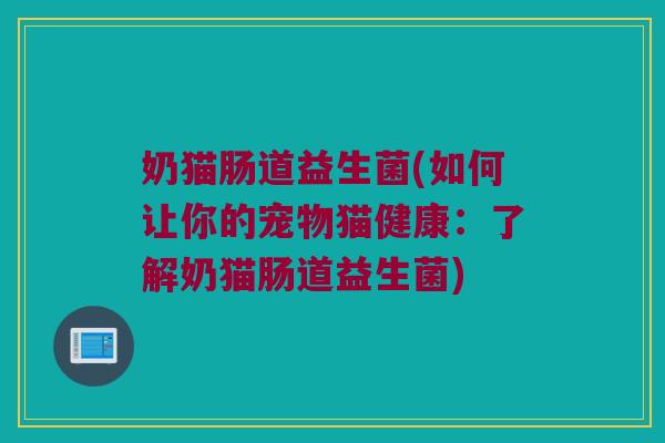 奶猫肠道益生菌(如何让你的宠物猫健康：了解奶猫肠道益生菌)