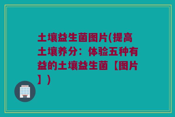 土壤益生菌图片(提高土壤养分:体验五种有益的土壤益生菌【图片】) 土壤益生菌图片(提高土壤养分:体验五种有益的土壤益生菌【图片】)