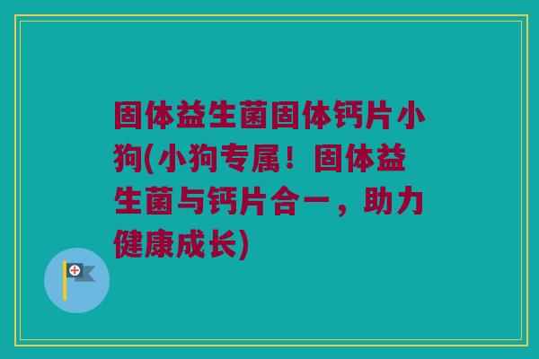 固体益生菌固体钙片小狗(小狗专属！固体益生菌与钙片合一，助力健康成长)