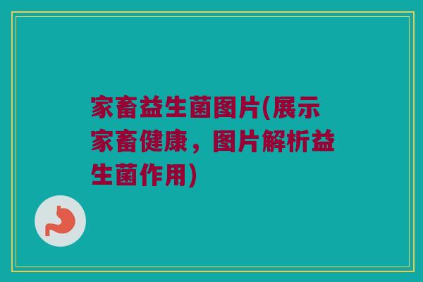 家畜益生菌图片(展示家畜健康，图片解析益生菌作用)