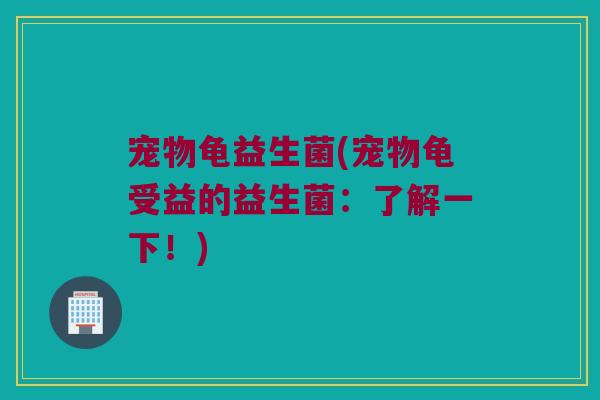 宠物龟益生菌(宠物龟受益的益生菌：了解一下！)