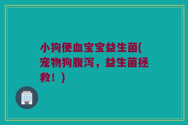 小狗便血宝宝益生菌(宠物狗腹泻，益生菌拯救！)