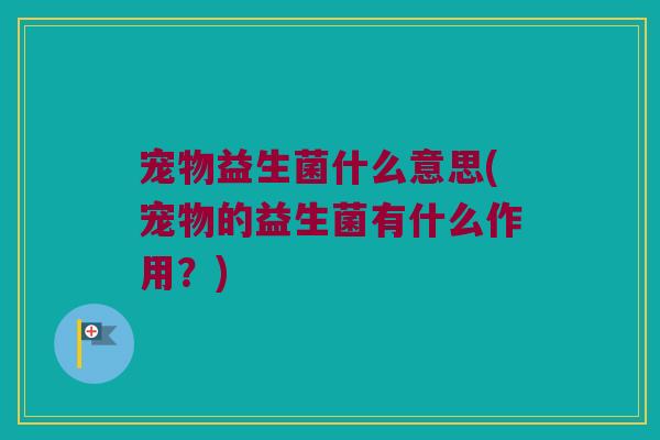 宠物益生菌什么意思(宠物的益生菌有什么作用？)