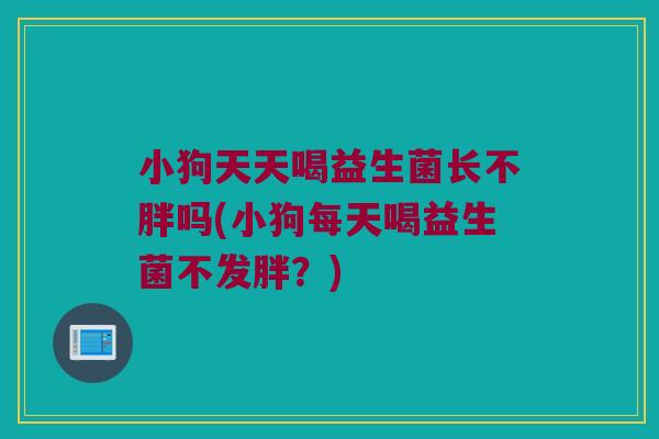 小狗天天喝益生菌长不胖吗(小狗每天喝益生菌不发胖？)