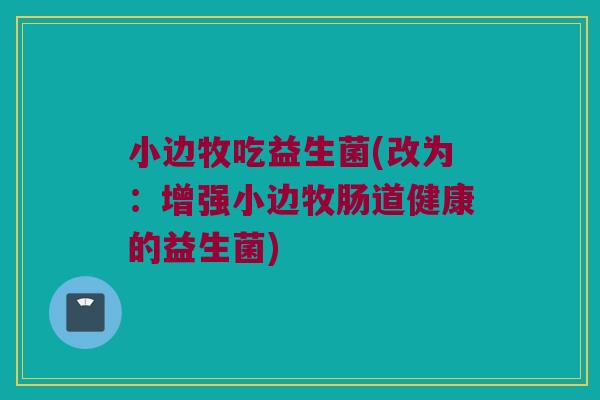 小边牧吃益生菌(改为：增强小边牧肠道健康的益生菌)