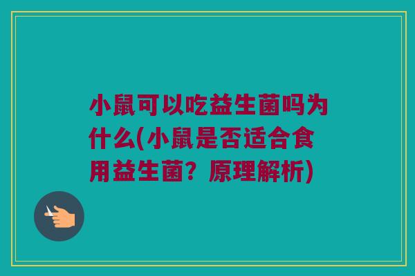小鼠可以吃益生菌吗为什么(小鼠是否适合食用益生菌？原理解析)