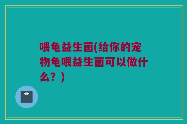 喂龟益生菌(给你的宠物龟喂益生菌可以做什么?) 喂龟益生菌(给你的宠物龟喂益生菌可以做什么?)