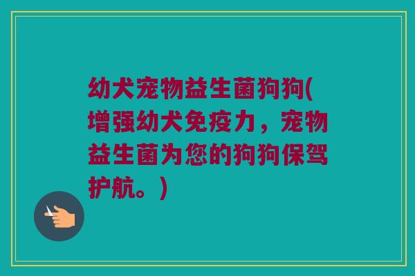 幼犬宠物益生菌狗狗(增强幼犬免疫力，宠物益生菌为您的狗狗保驾护航。)