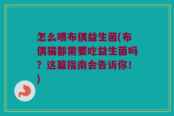 怎么喂布偶益生菌(布偶猫都需要吃益生菌吗？这篇指南会告诉你！)