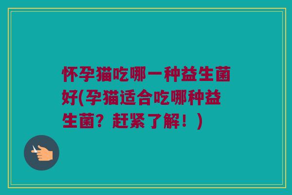 怀孕猫吃哪一种益生菌好(孕猫适合吃哪种益生菌？赶紧了解！)