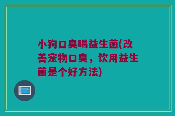 小狗口臭喝益生菌(改善宠物口臭，饮用益生菌是个好方法)