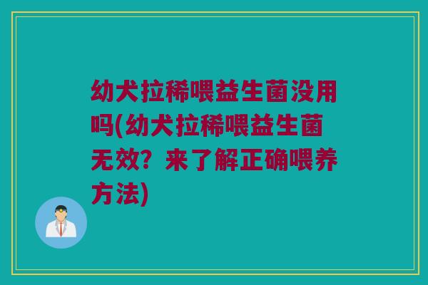 幼犬拉稀喂益生菌没用吗(幼犬拉稀喂益生菌无效？来了解正确喂养方法)