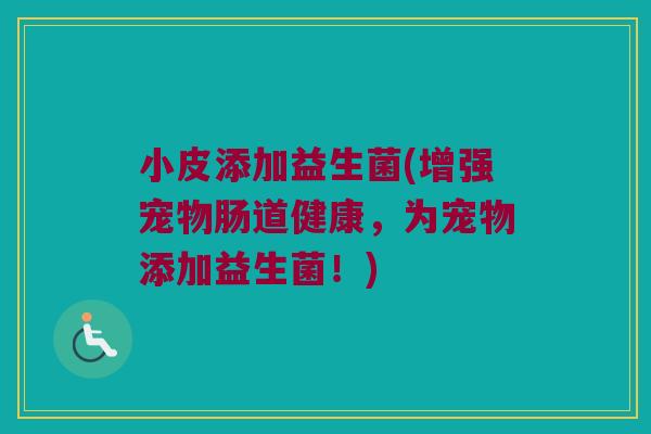 小皮添加益生菌(增强宠物肠道健康，为宠物添加益生菌！)