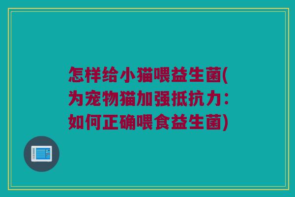怎样给小猫喂益生菌(为宠物猫加强抵抗力：如何正确喂食益生菌)
