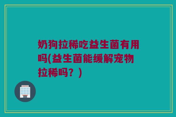 奶狗拉稀吃益生菌有用吗(益生菌能缓解宠物拉稀吗？)