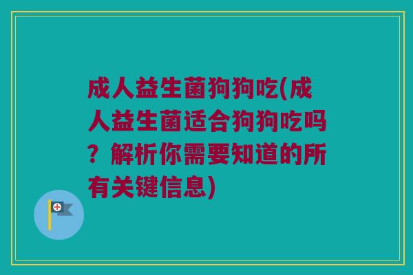 成人益生菌狗狗吃(成人益生菌适合狗狗吃吗？解析你需要知道的所有关键信息)