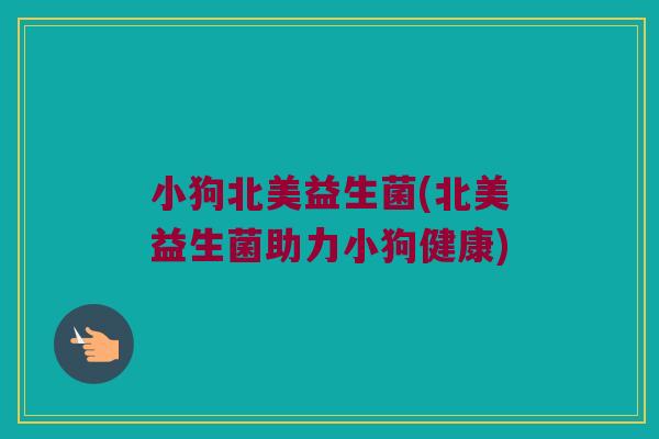 小狗北美益生菌(北美益生菌助力小狗健康)