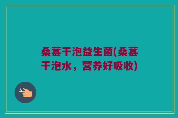 桑葚干泡益生菌(桑葚干泡水，营养好吸收)