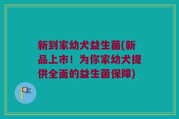 新到家幼犬益生菌(新品上市！为你家幼犬提供全面的益生菌保障)