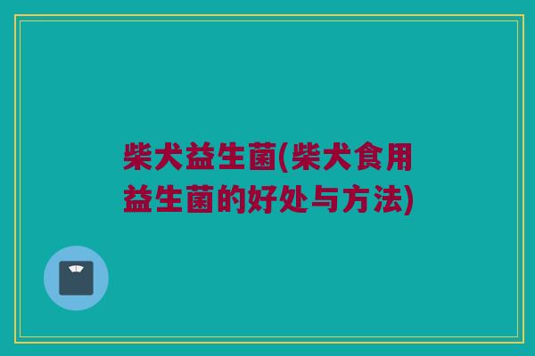 柴犬益生菌(柴犬食用益生菌的好处与方法)