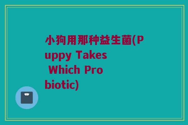 小狗用那种益生菌(Puppy Takes Which Probiotic) 小狗用那种益生菌(Puppy Takes Which Probiotic)