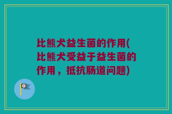 比熊犬益生菌的作用(比熊犬受益于益生菌的作用，抵抗肠道问题)