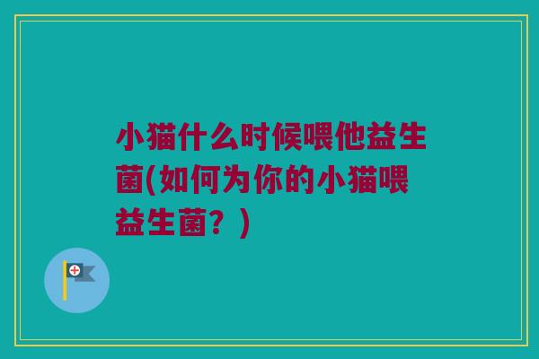小猫什么时候喂他益生菌(如何为你的小猫喂益生菌？)