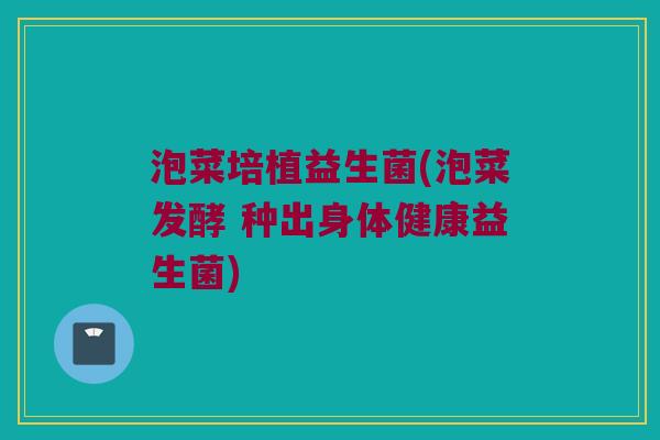 泡菜培植益生菌(泡菜发酵 种出身体健康益生菌)