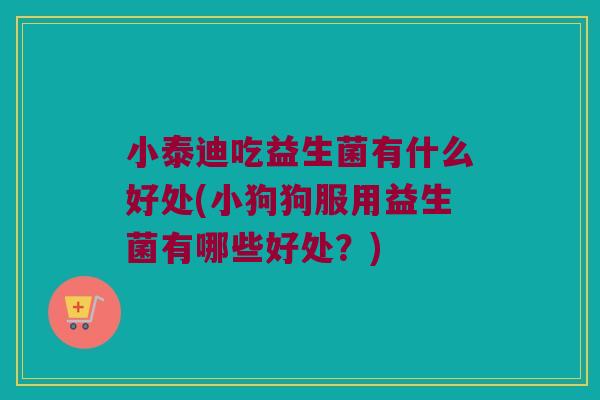 小泰迪吃益生菌有什么好处(小狗狗服用益生菌有哪些好处？)