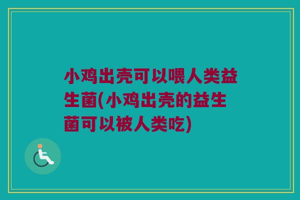小鸡出壳可以喂人类益生菌(小鸡出壳的益生菌可以被人类吃)