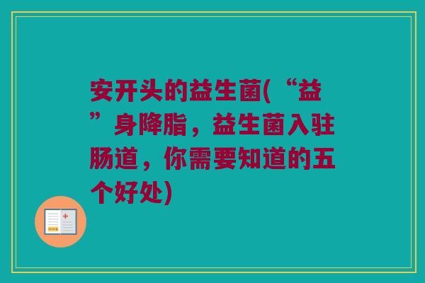 安开头的益生菌(“益”身降脂，益生菌入驻肠道，你需要知道的五个好处)