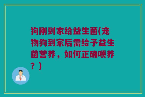 狗刚到家给益生菌(宠物狗到家后需给予益生菌营养，如何正确喂养？)