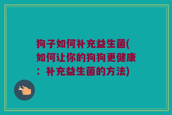 狗子如何补充益生菌(如何让你的狗狗更健康：补充益生菌的方法)