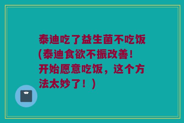 泰迪吃了益生菌不吃饭(泰迪食欲不振改善！开始愿意吃饭，这个方法太妙了！)