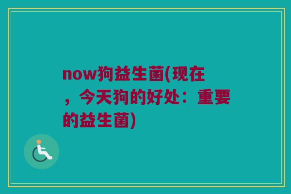 now狗益生菌(现在，今天狗的好处：重要的益生菌)