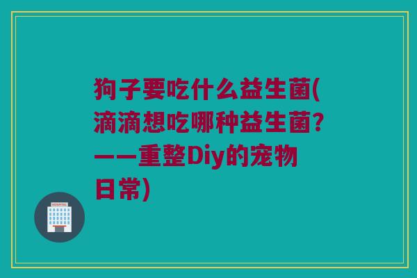 狗子要吃什么益生菌(滴滴想吃哪种益生菌？——重整Diy的宠物日常)