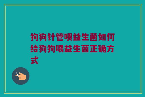 狗狗针管喂益生菌如何给狗狗喂益生菌正确方式