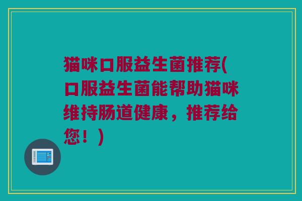 猫咪口服益生菌推荐(口服益生菌能帮助猫咪维持肠道健康，推荐给您！)
