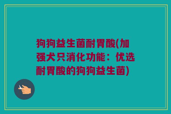 狗狗益生菌耐胃酸(加强犬只消化功能：优选耐胃酸的狗狗益生菌)