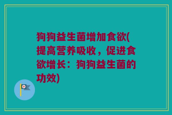 狗狗益生菌增加食欲(提高营养吸收，促进食欲增长：狗狗益生菌的功效)